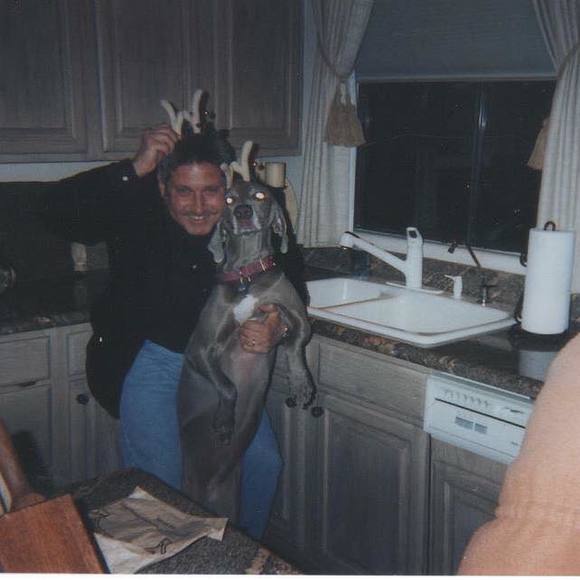 Meet your Posher, Debi - Picture 4 of 4